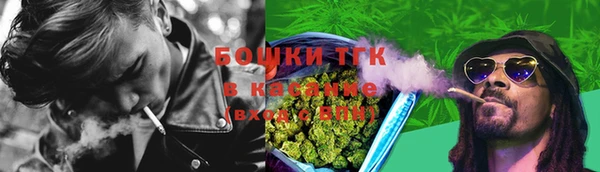 ПСИЛОЦИБИНОВЫЕ ГРИБЫ Аркадак