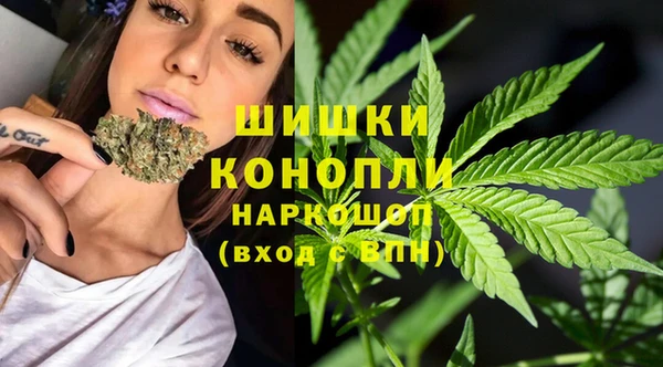ПСИЛОЦИБИНОВЫЕ ГРИБЫ Аркадак