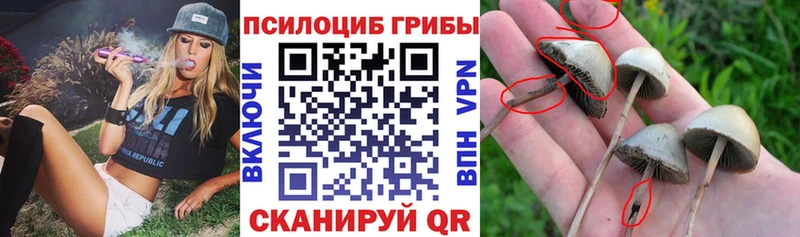 продажа наркотиков  Ясногорск  Галлюциногенные грибы мухоморы 